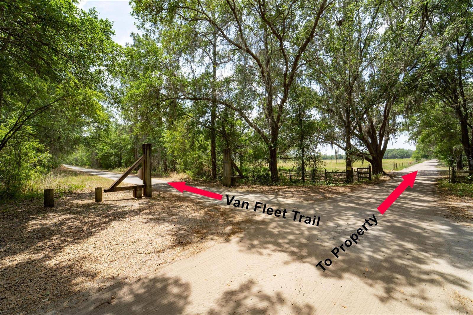 Polk City, FL 33868,VAN FLEET RD