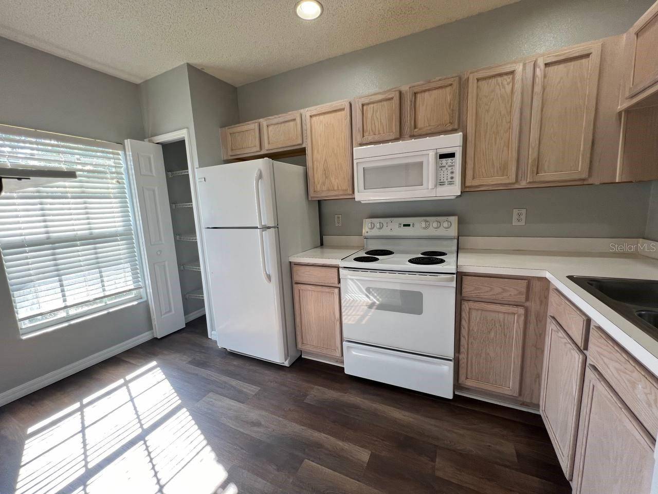 Wesley Chapel, FL 33543,1437 COSTA MESA DR