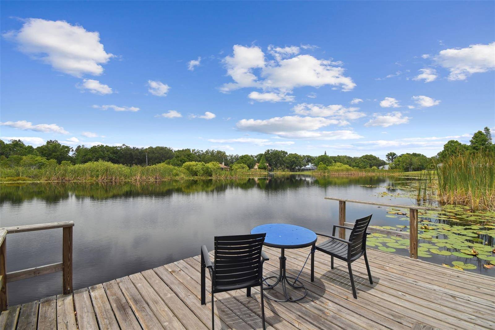 Lutz, FL 33549,1703 RYAN DR