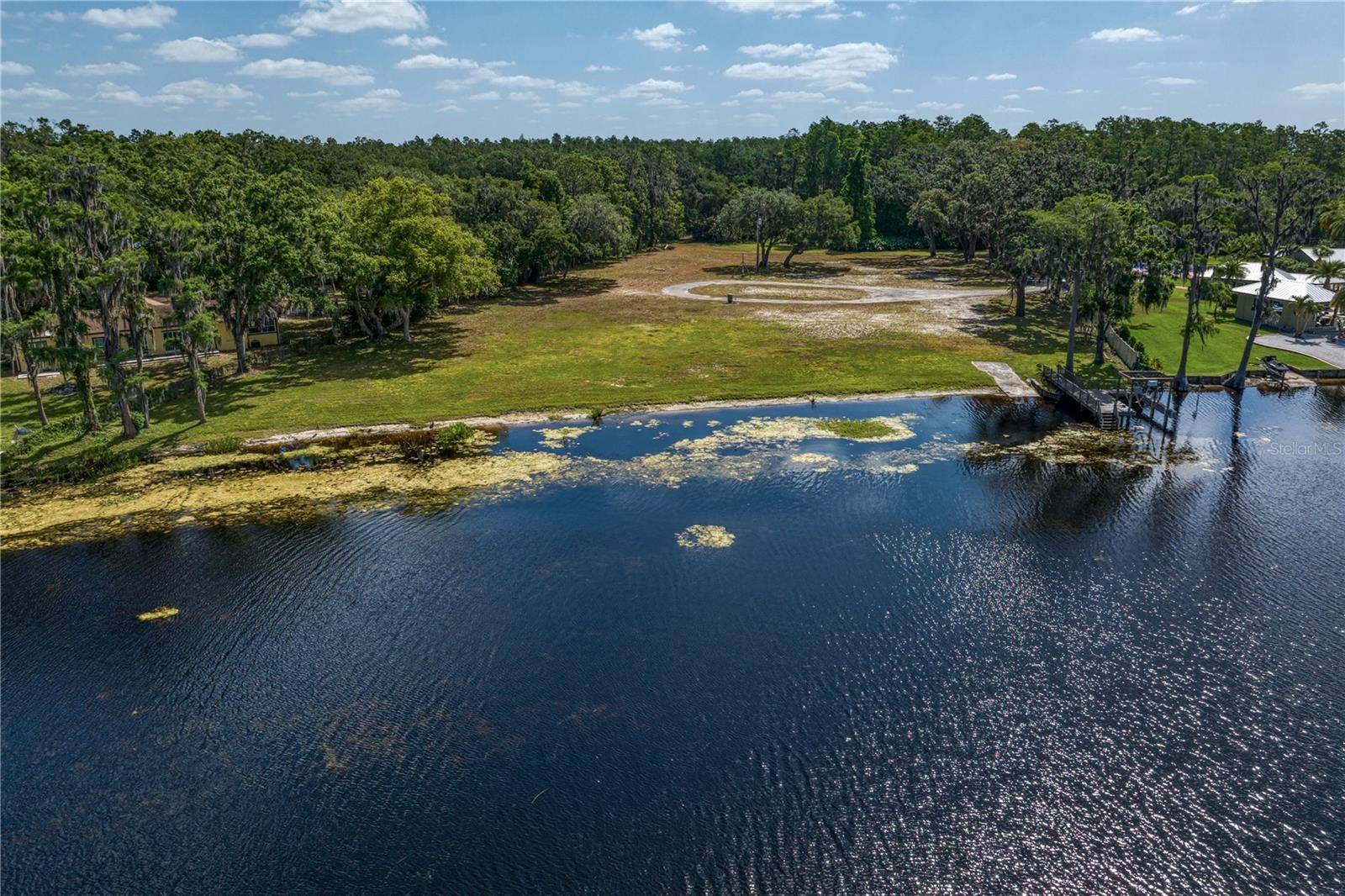 Lutz, FL 33548,215 LAKE BRANT DR