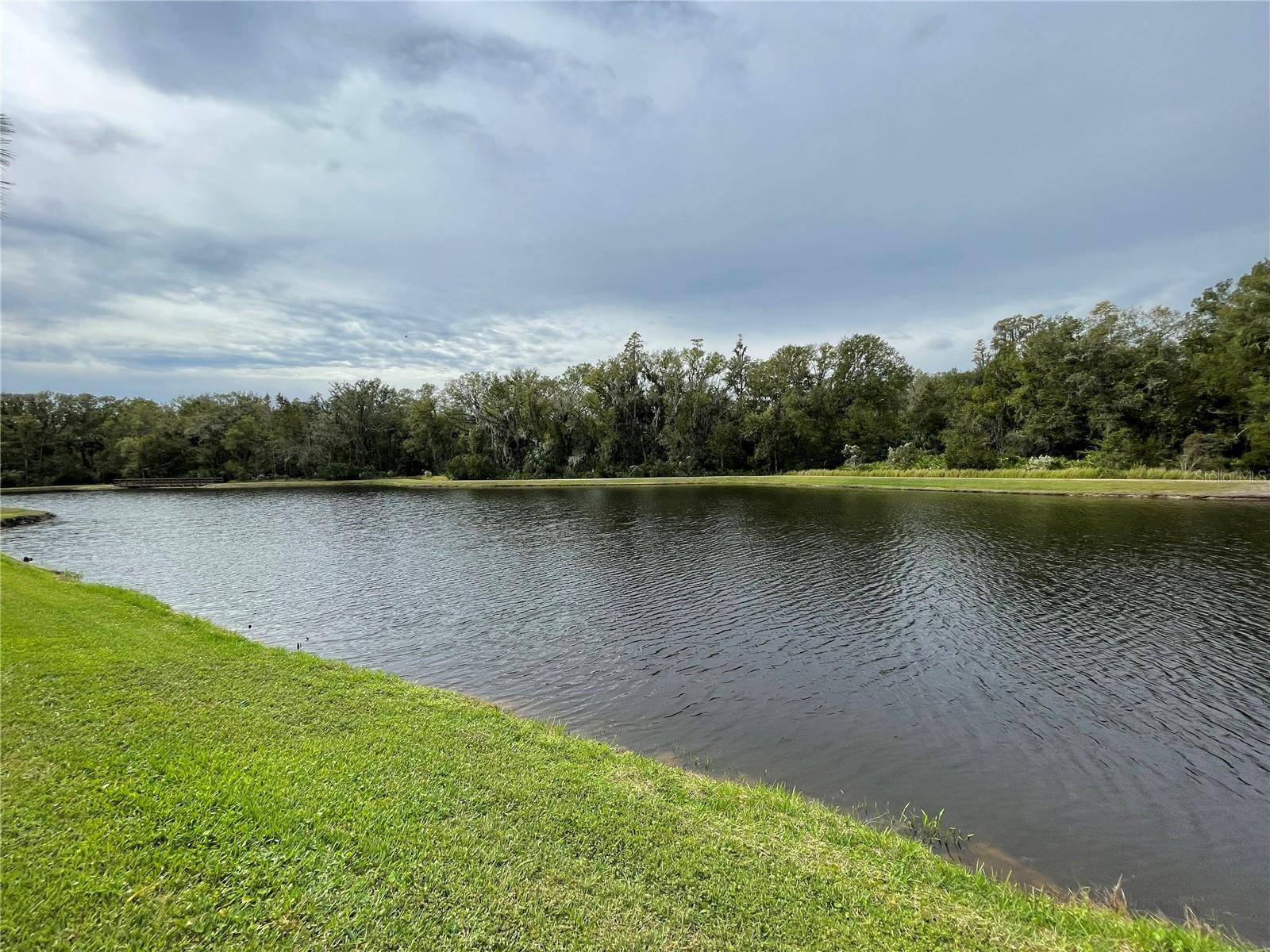 Wesley Chapel, FL 33543,28390 TRANQUIL LAKE CIR