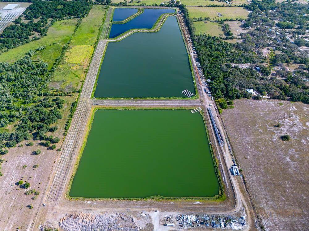 Wimauma, FL 33598,14103 672 HWY