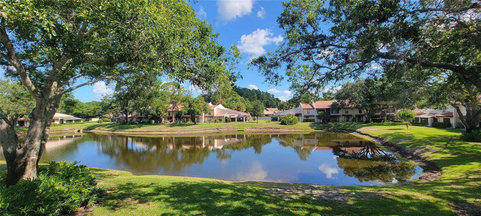Palm Harbor, FL 34685,3505 TARPON WOODS BLVD #P408
