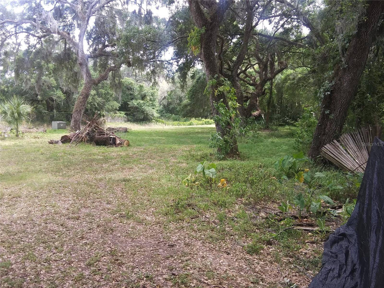 Zephyrhills, FL 33541,3352 SANDY DR