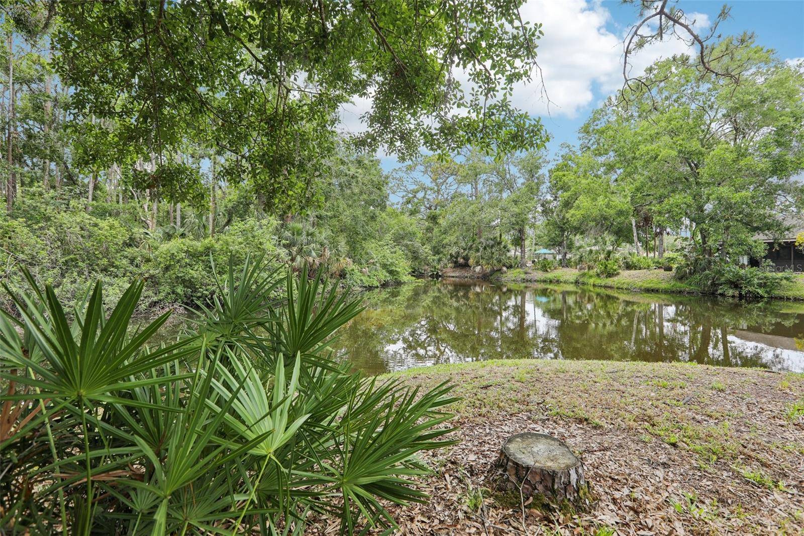 Oldsmar, FL 34677,330 WOODS LANDING TRAIL