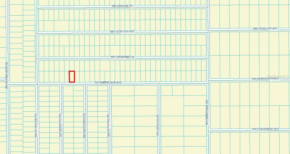 Dunnellon, FL 34431,452262 NW AMBERJACK AVE