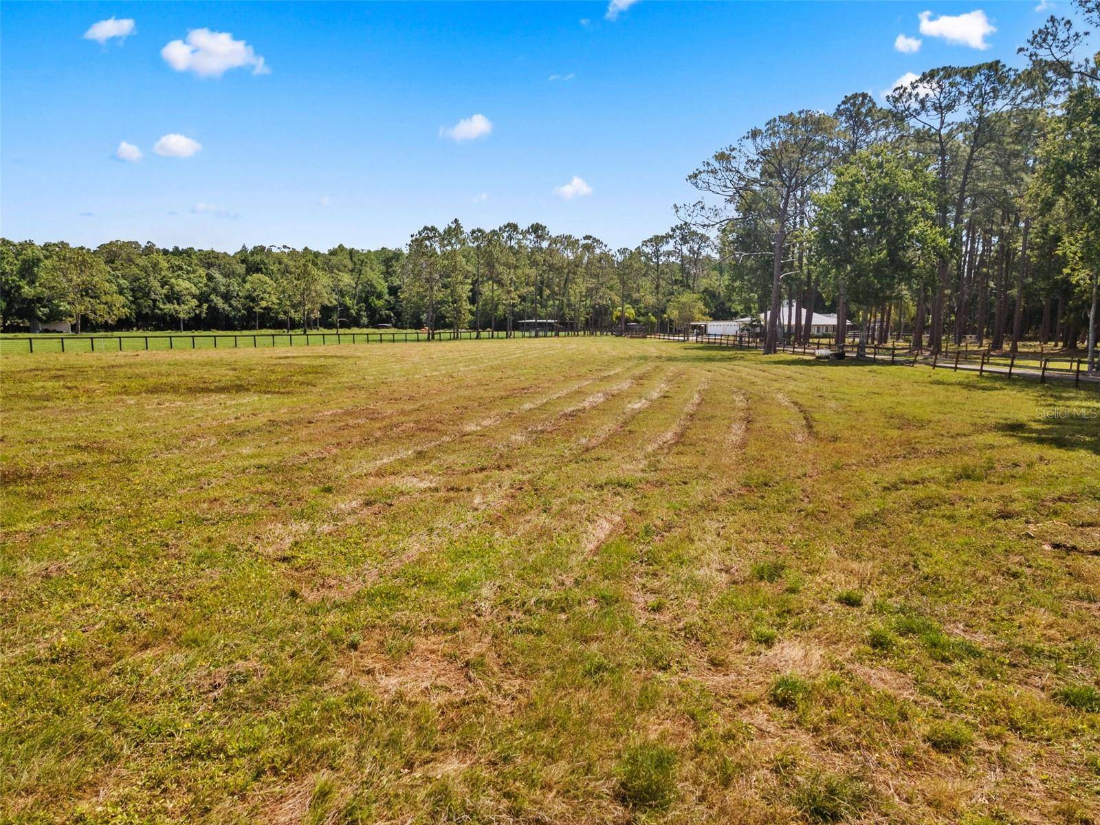 Tarpon Springs, FL 34688,495 APPALOOSA RD