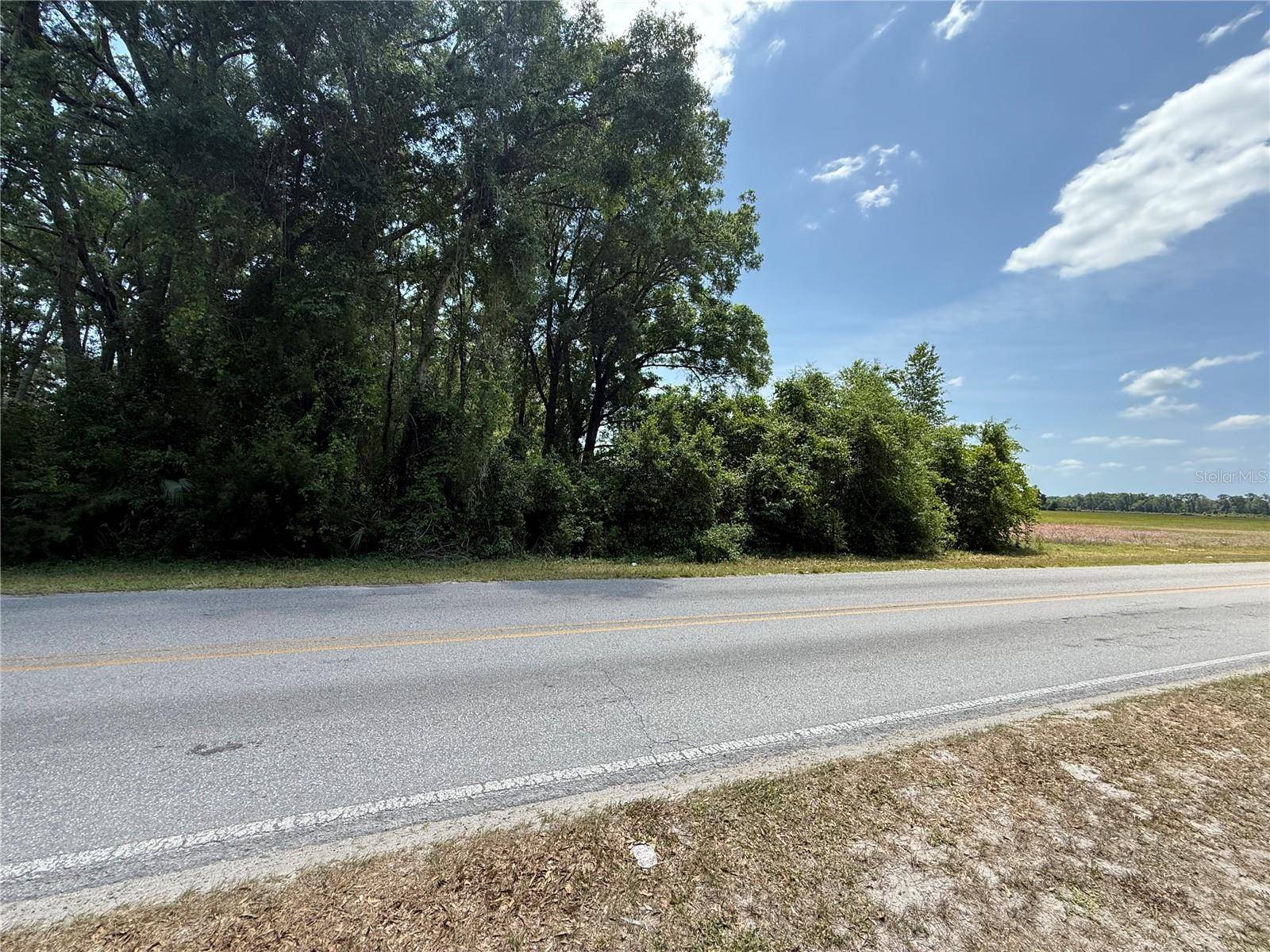 Chiefland, FL 32626,0 NW 11TH AVE