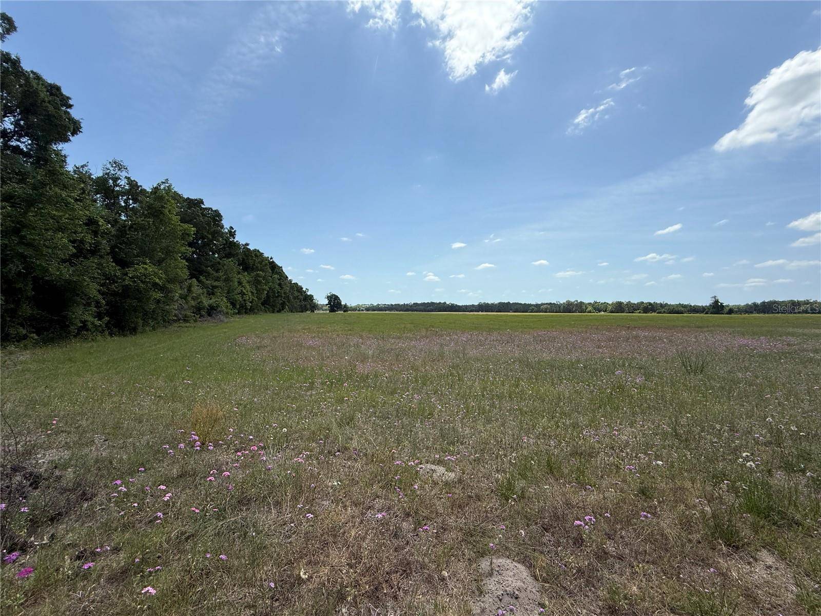 Chiefland, FL 32626,0 NW 11TH AVE