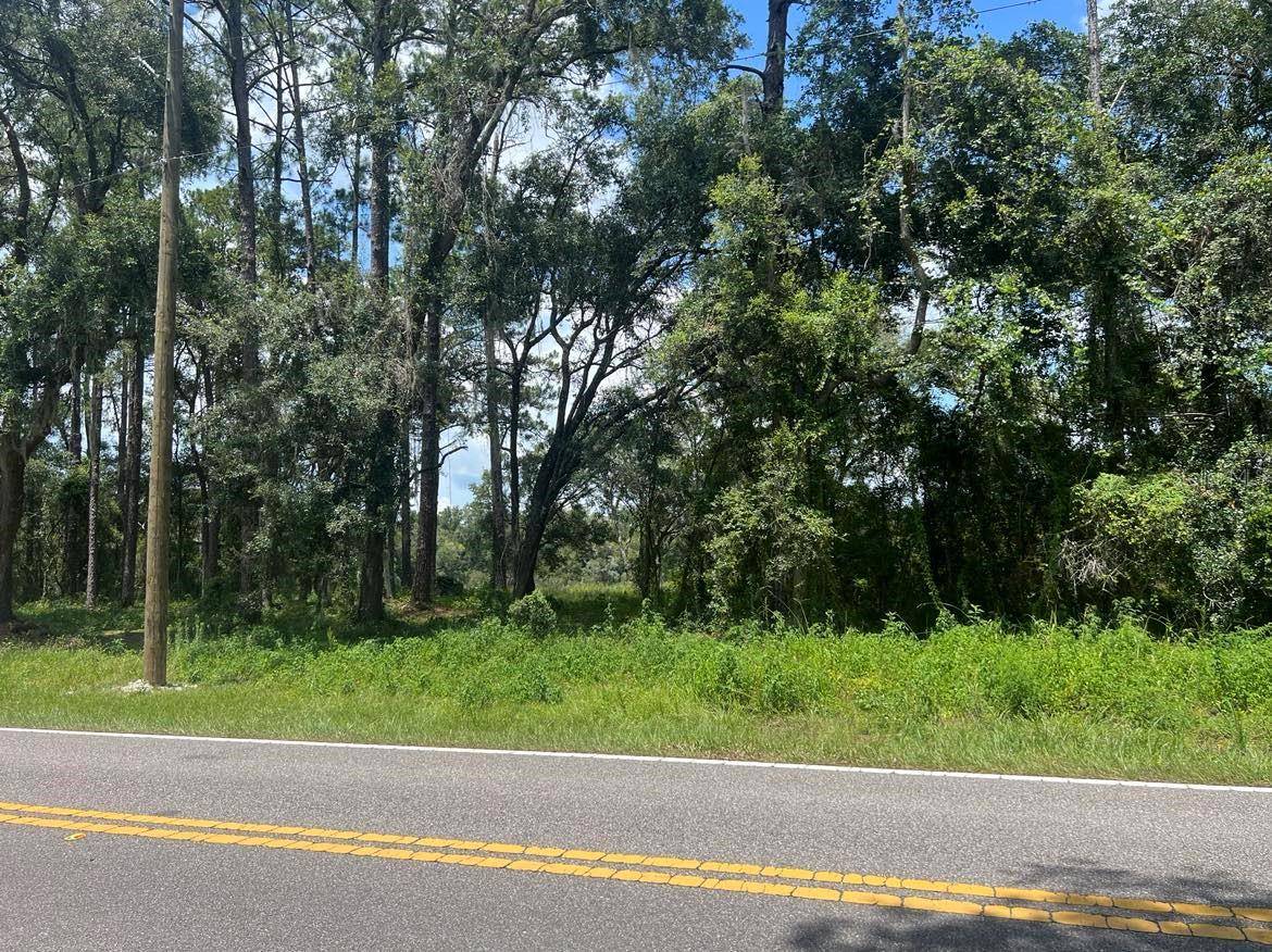 Dunnellon, FL 34431,463159 SW BUENA VISTA RD