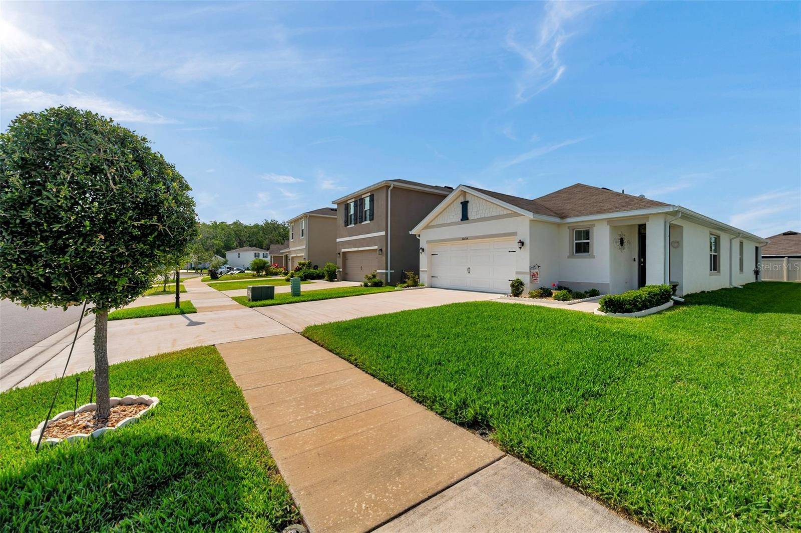 Wesley Chapel, FL 33543,32714 BROOKS HAWK LN