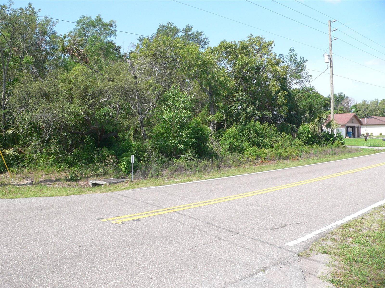 Spring Hill, FL 34608,11407 LINDEN DR