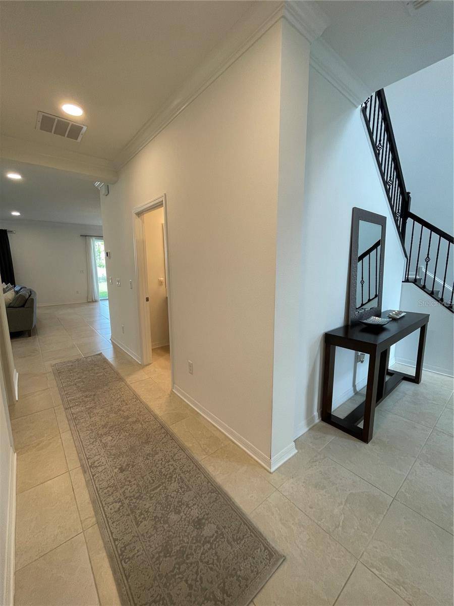 Wesley Chapel, FL 33545,7491 NOTCHED PINE BEND