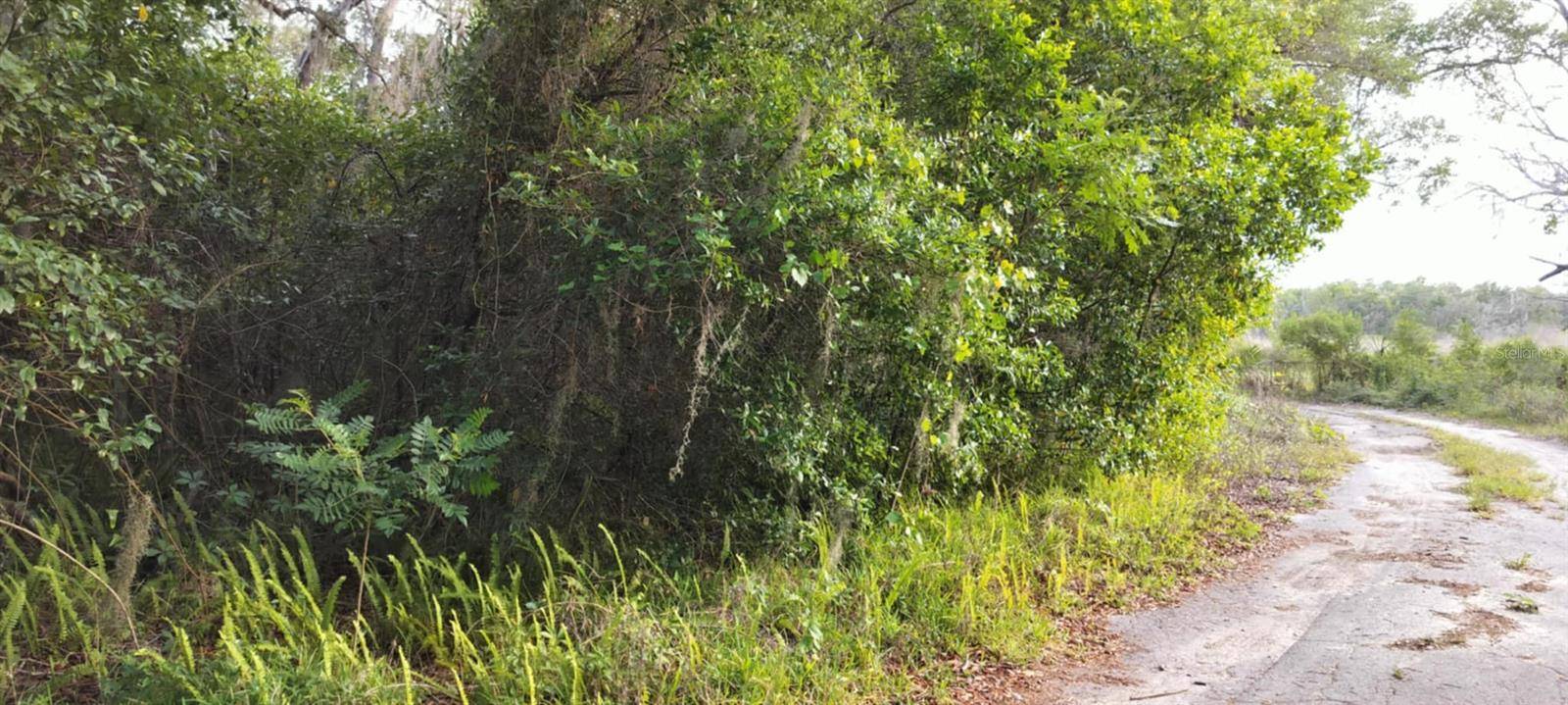 Inverness, FL 34453,63 N SHELTERING OAKS DR