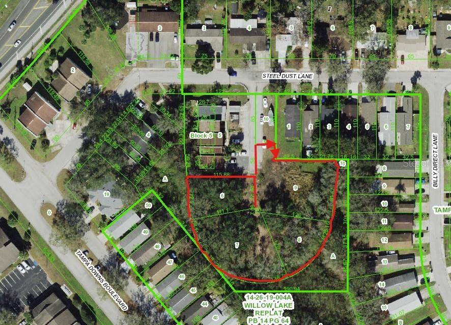 Lutz, FL 33559,STEEL DUST LN