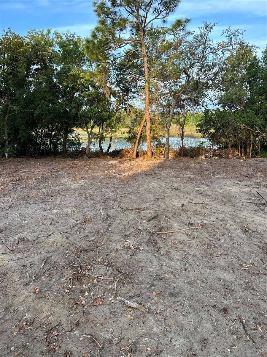Weeki Wachee, FL 34613,10030 LAKE DR