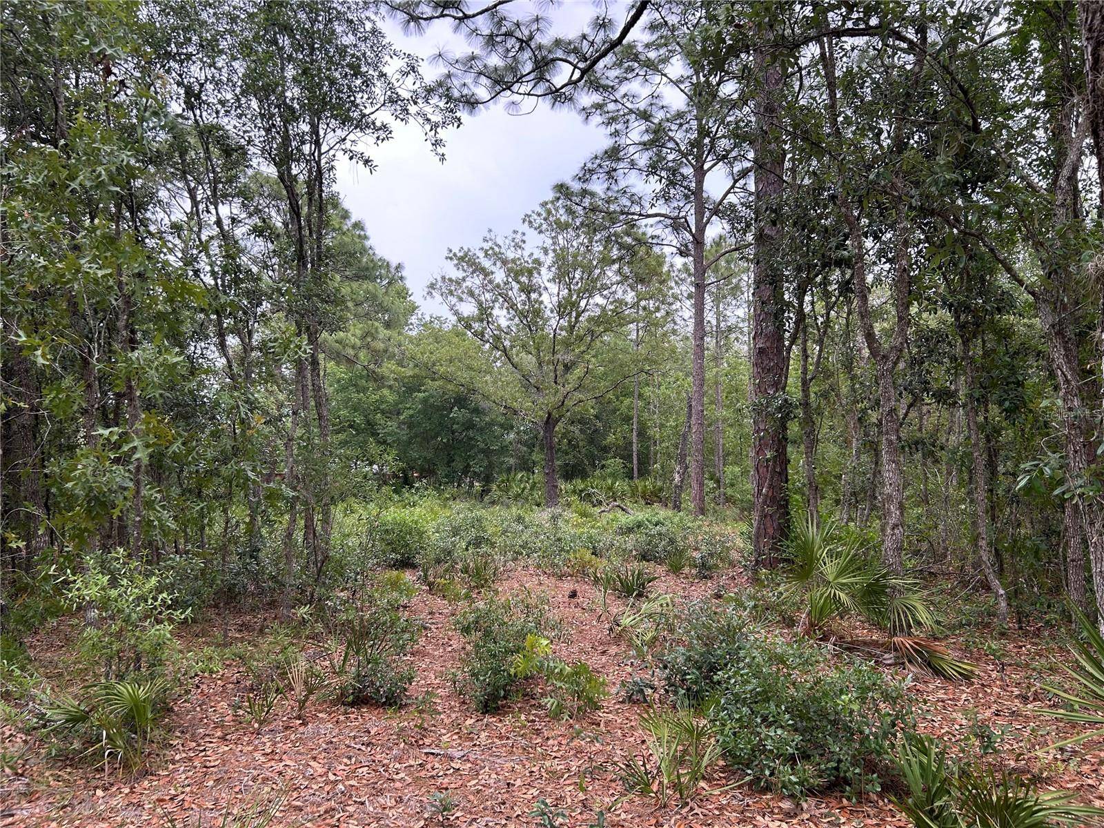 Homosassa, FL 34446,S SLASH PINE AVE