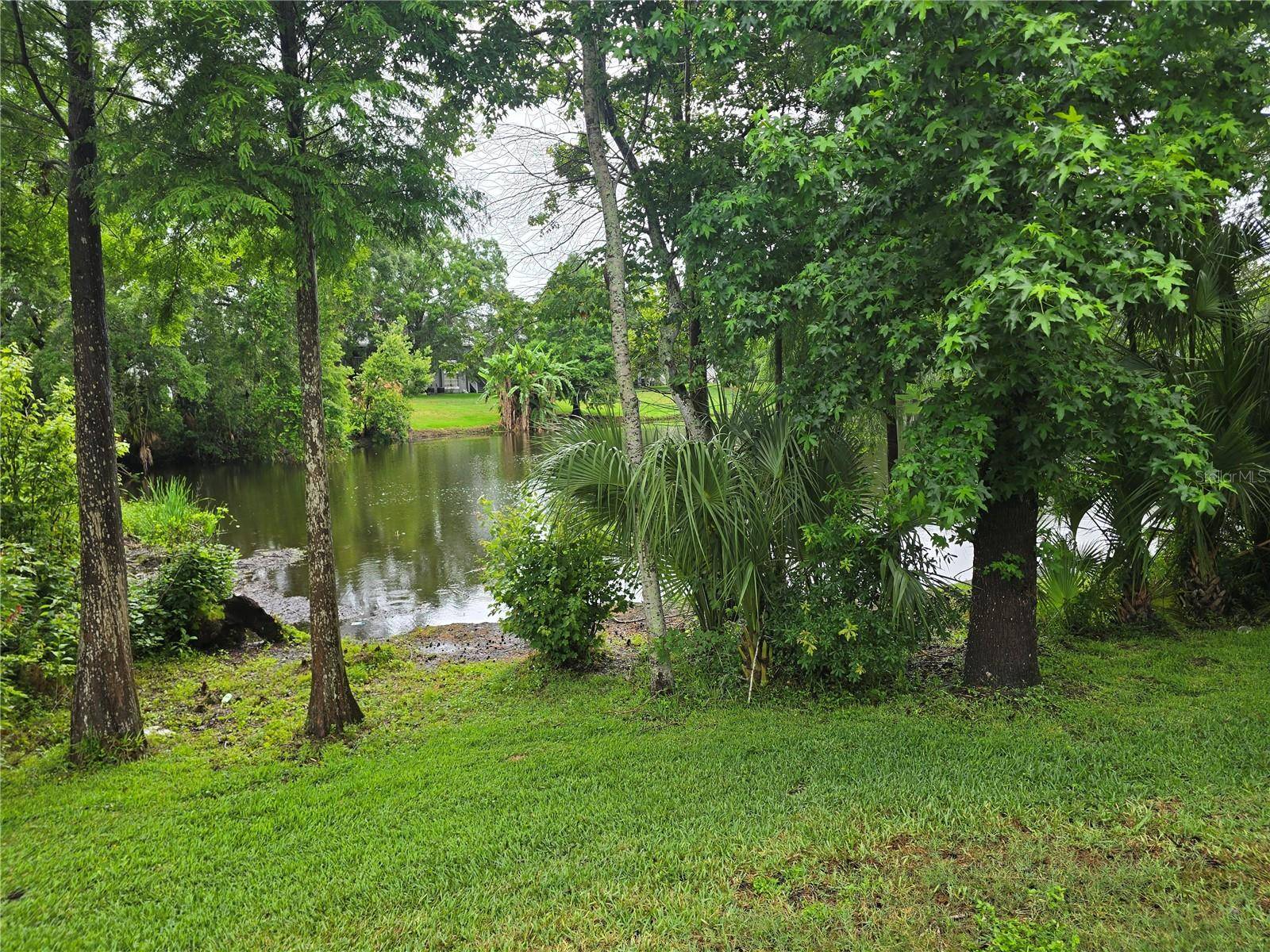Temple Terrace, FL 33617,11802 RAINTREE LAKE LN #B