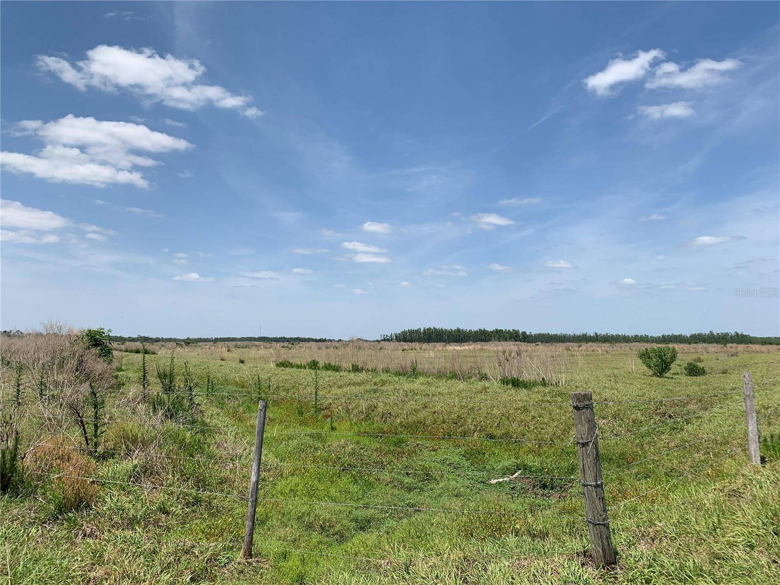 Zolfo Springs, FL 33890,JOHNSTON RD