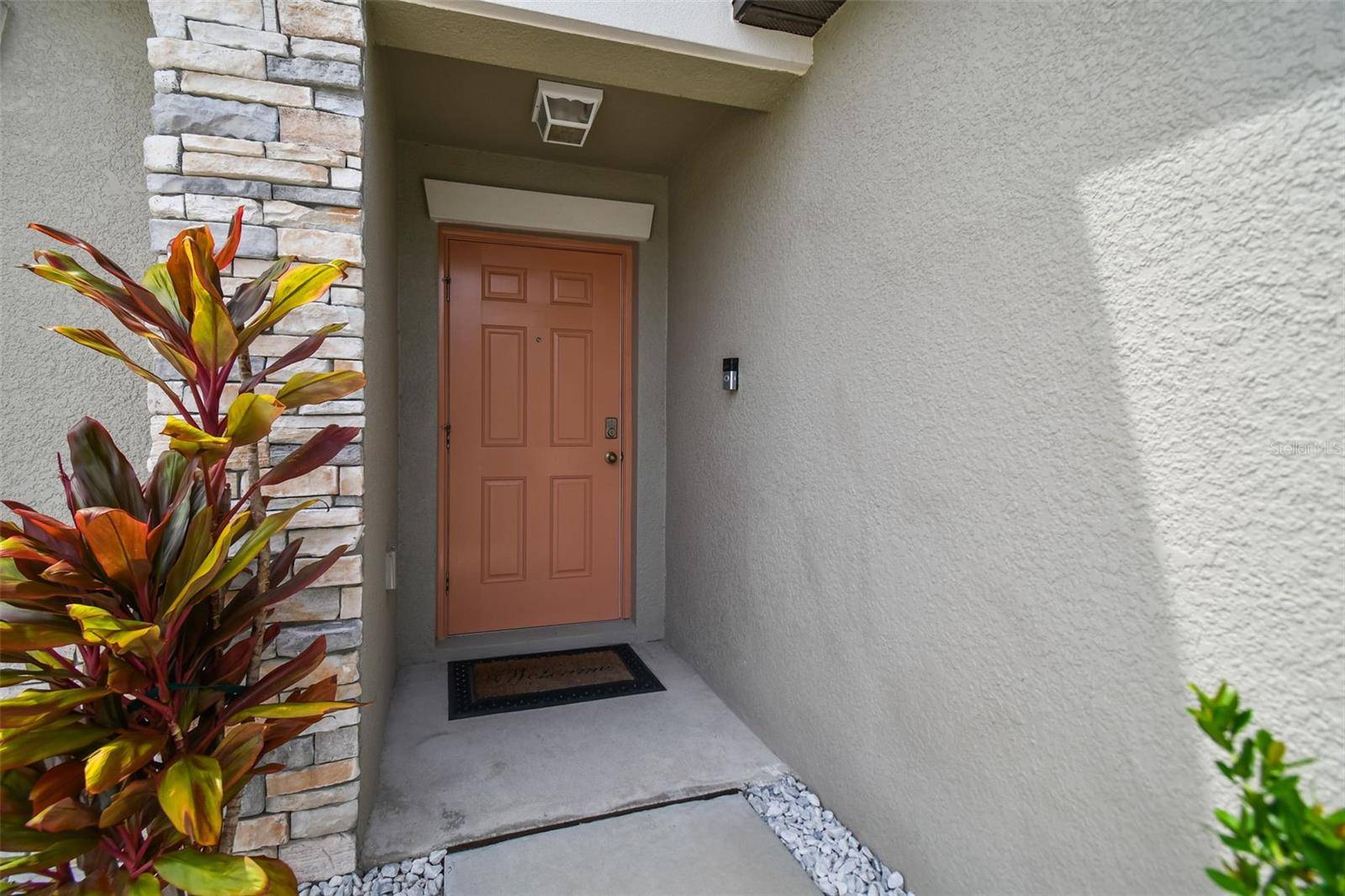 Riverview, FL 33579,13603 WILD GINGER ST