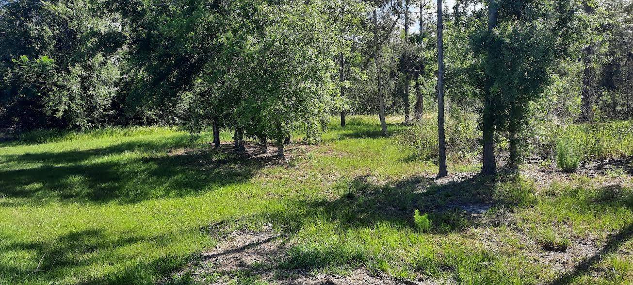 Indian Lake Estates, FL 33855,22 LANTANA DR N