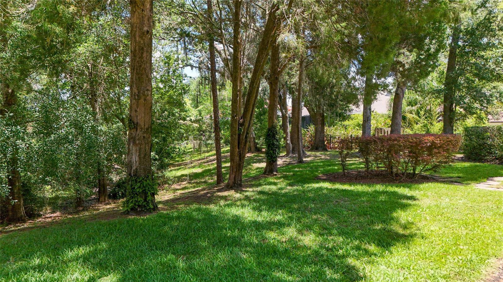 Lutz, FL 33549,1903 CURRY RD