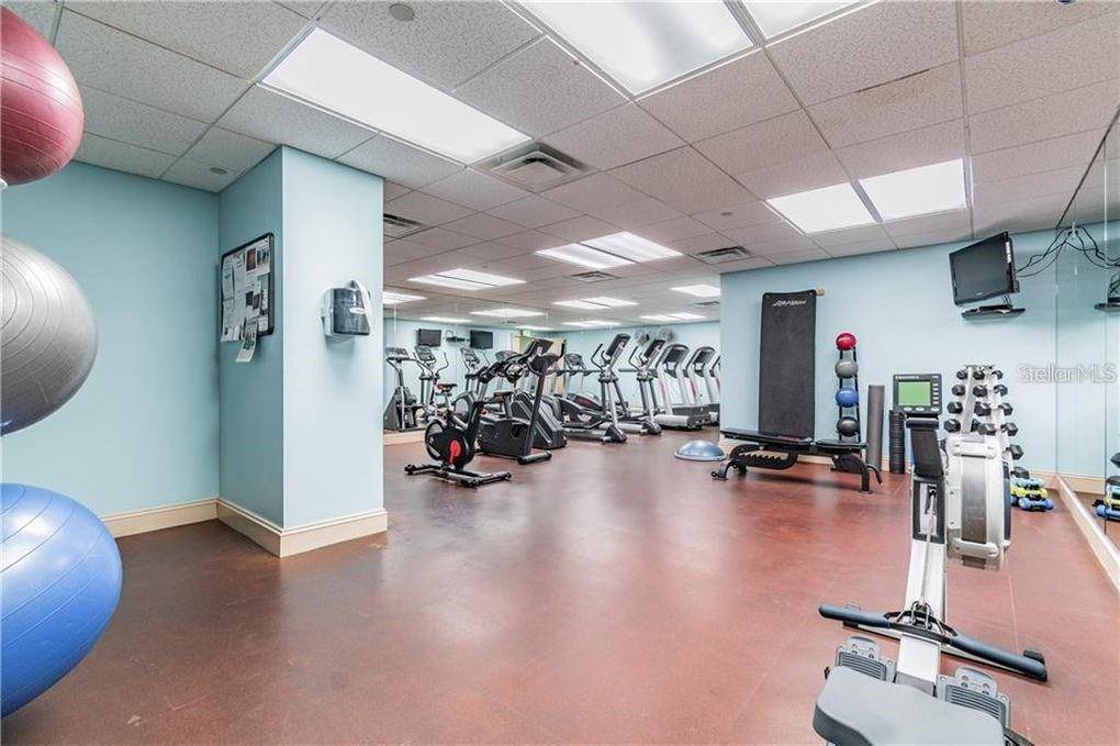 Tampa, FL 33606,345 BAYSHORE BLVD #502