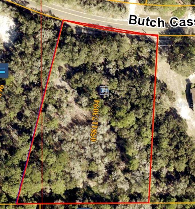 Wimauma, FL 33598,BUTCH CASSIDY TRL