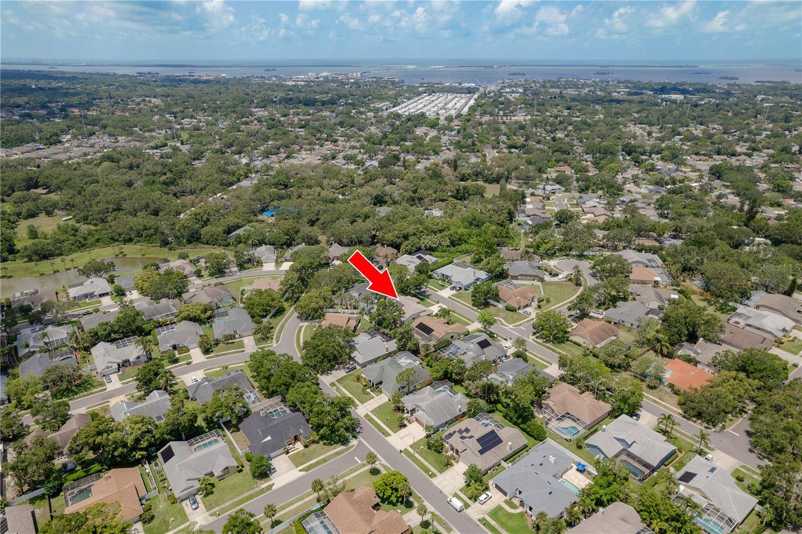 Palm Harbor, FL 34683,627 BELTED KINGFISHER DR N
