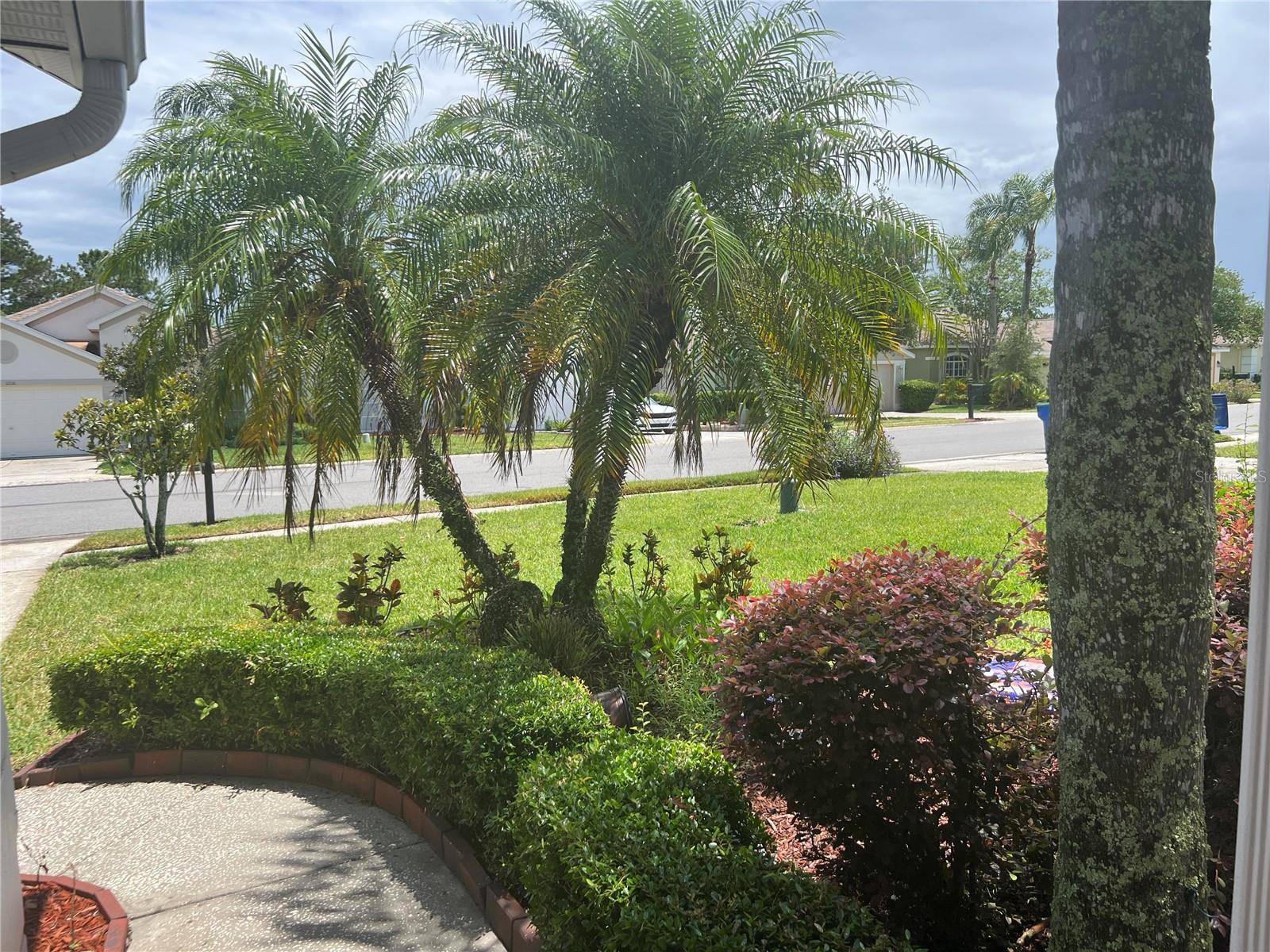 Land O Lakes, FL 34639,3207 BANYAN HILL LN
