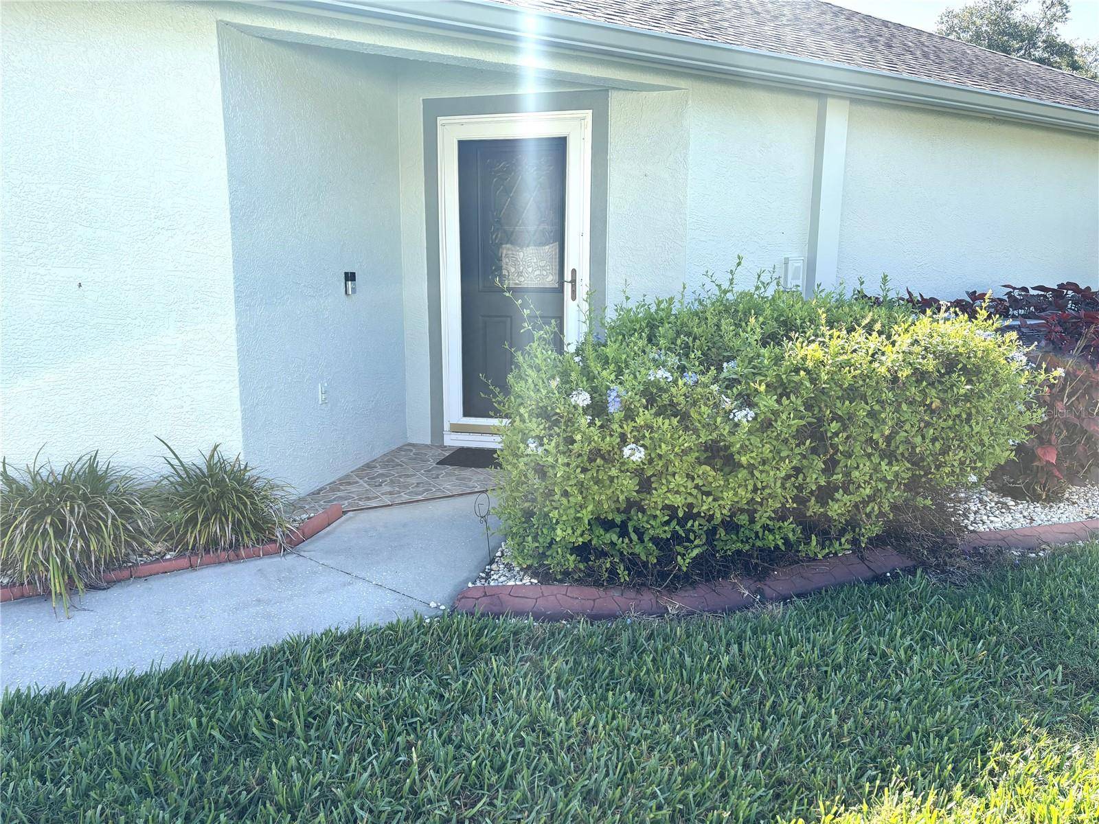 Land O Lakes, FL 34638,19420 HASKELL PL