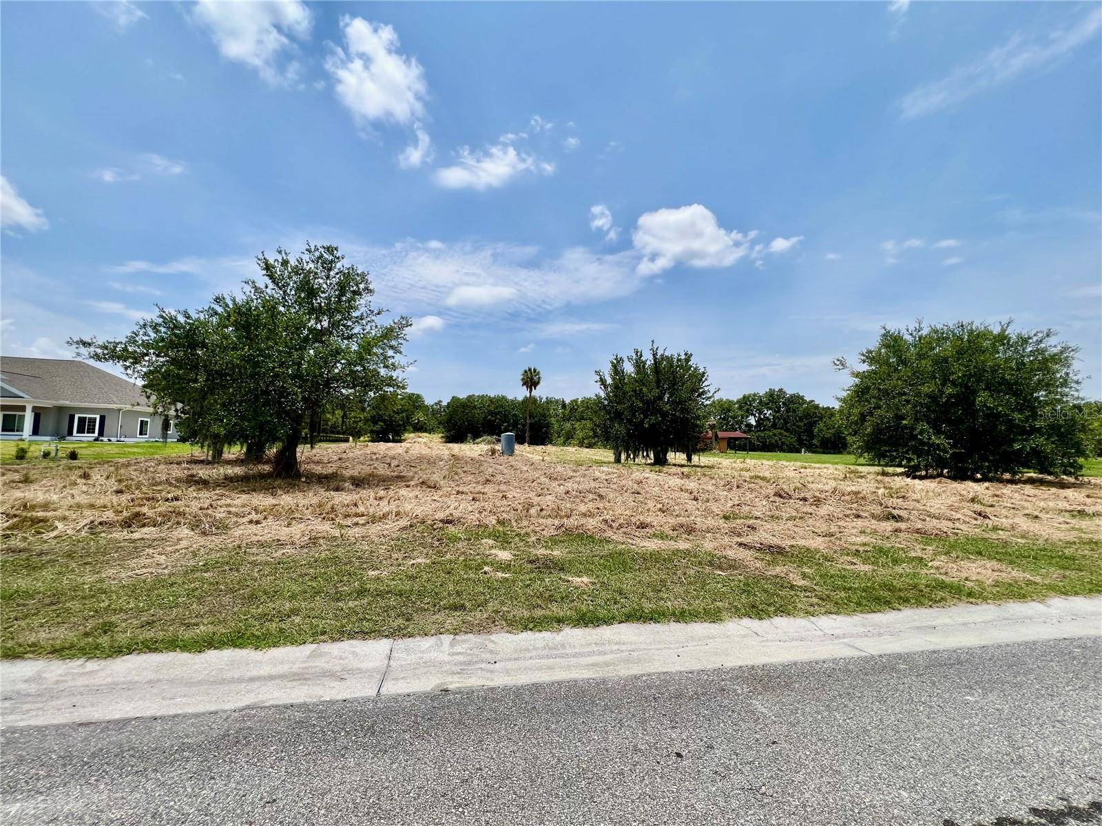Lithia, FL 33547,15315 FISHHAWK HEIGHTS RUN