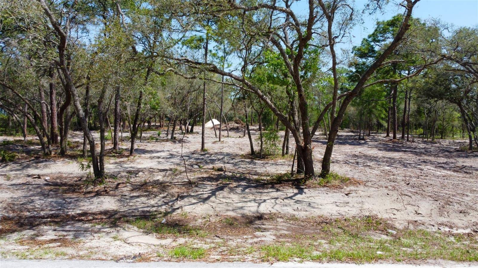 Spring Hill, FL 34610,0 AKINS DR