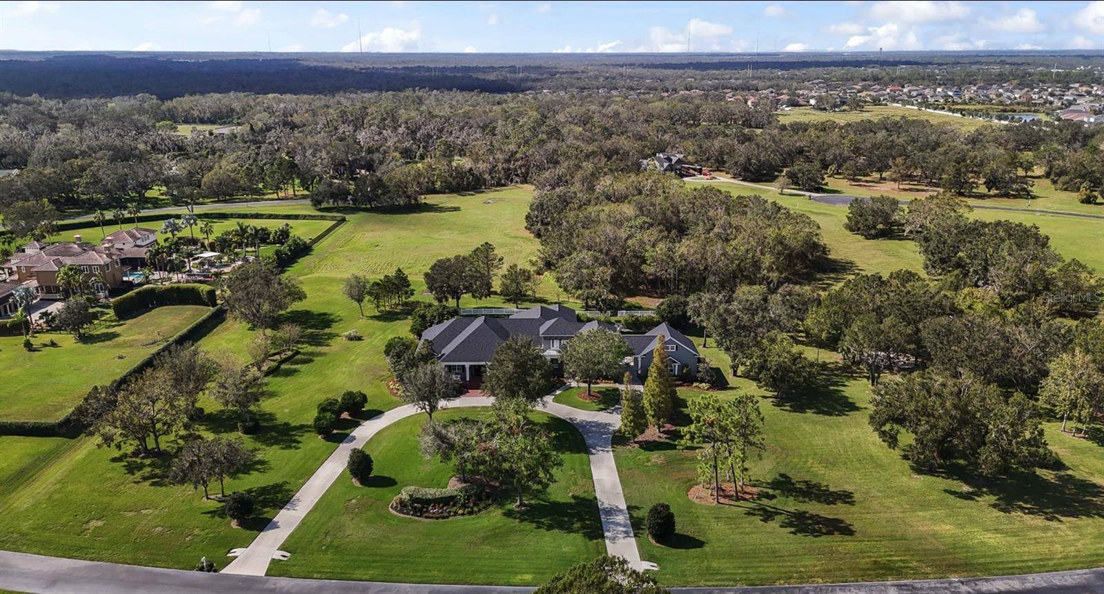 Lithia, FL 33547,11441 HAMMOCK OAKS CT