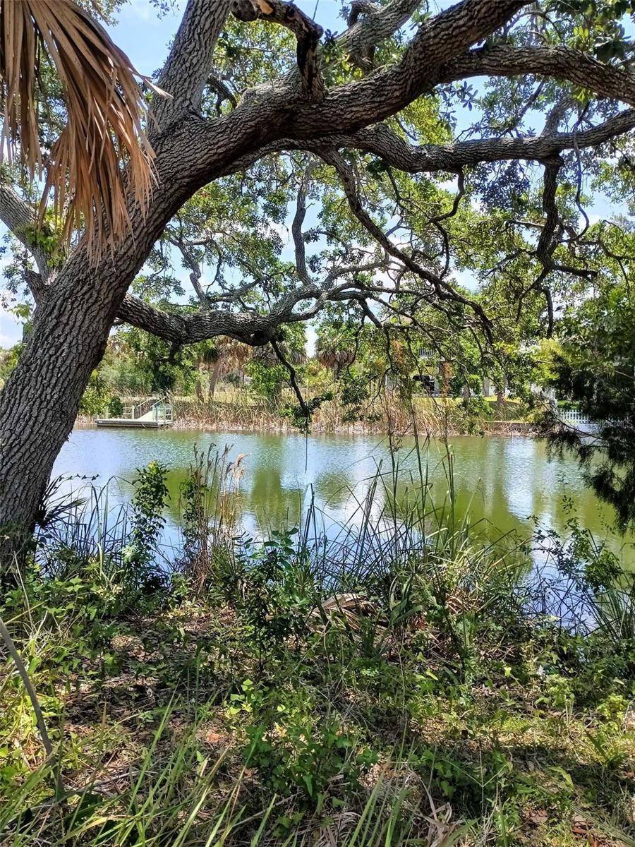 Hernando Beach, FL 34607,0 SEA GRAPE DRIVE #Lot 10