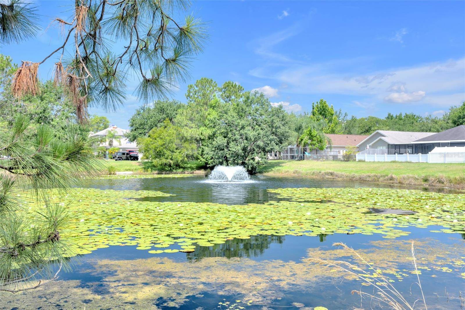 Apollo Beach, FL 33572,7855 BRISTOL PARK DR.