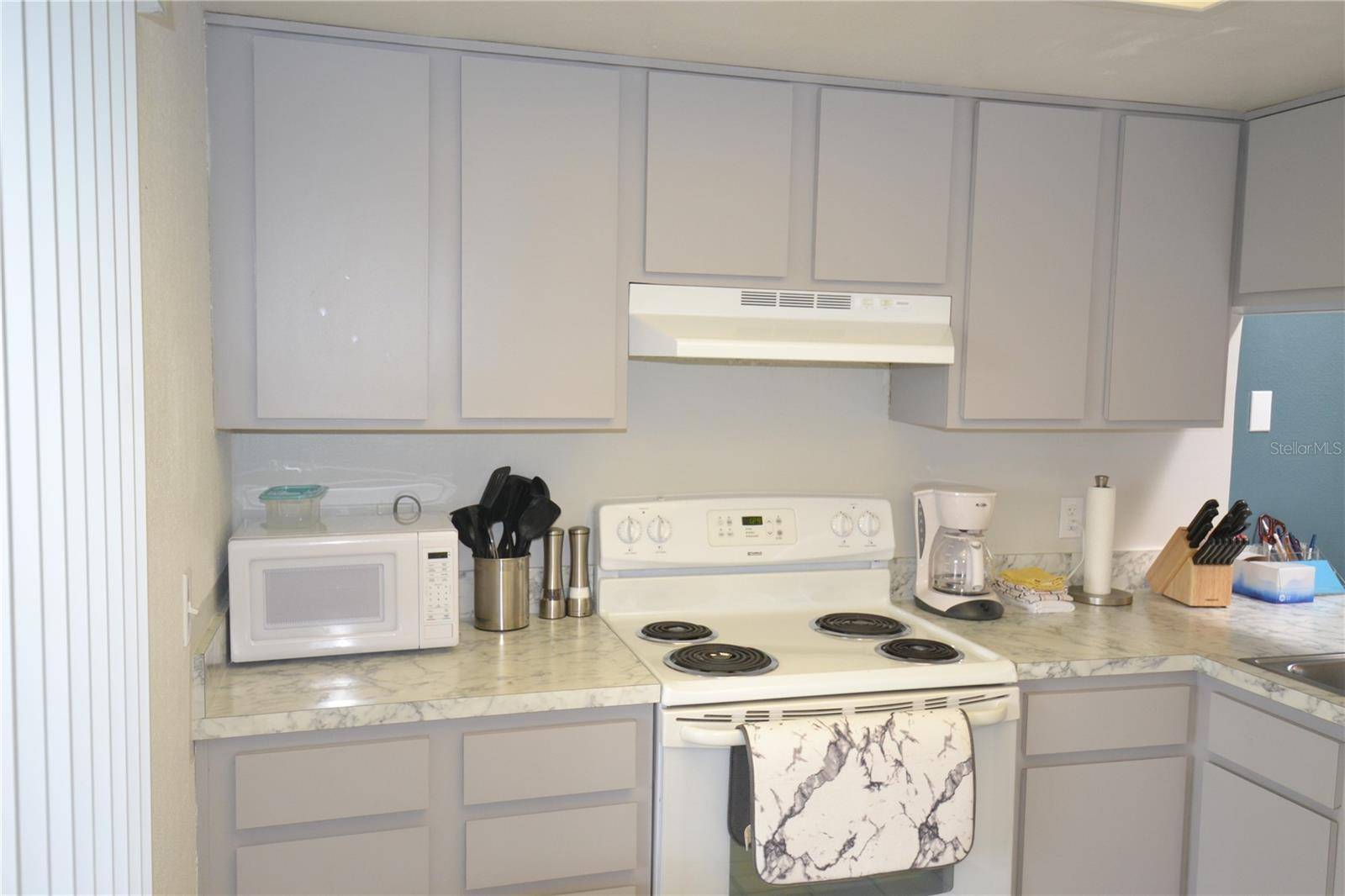 Oldsmar, FL 34677,284 WOODLAKE WYNDE