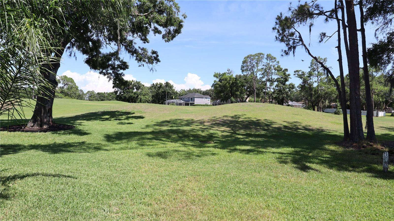 Odessa, FL 33556,12808 KILLARNEY CT