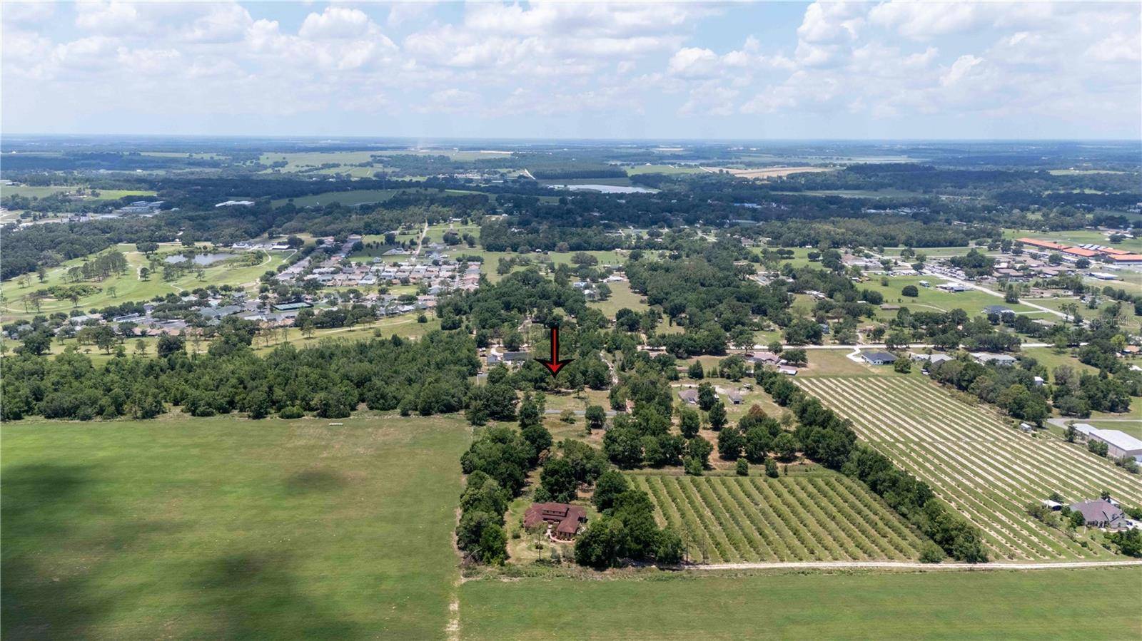 Dade City, FL 33525,9630 NELSON RD