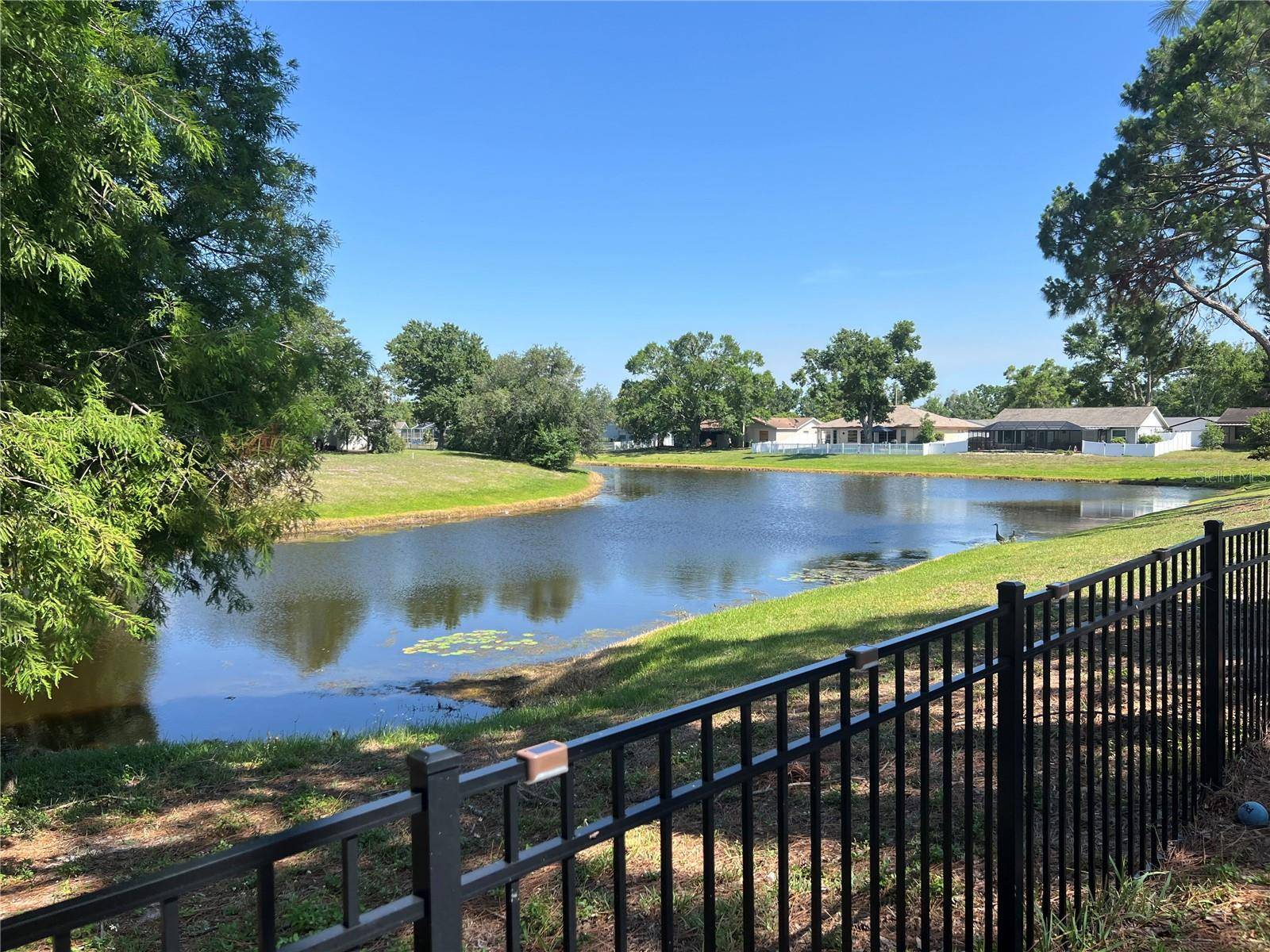Riverview, FL 33579,12838 TALLOWOOD DR
