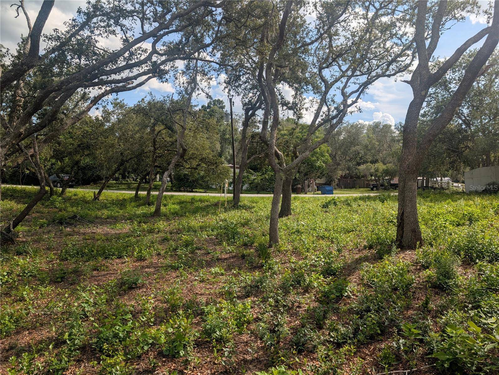 Dade City, FL 33523,0 MERLIN CIR