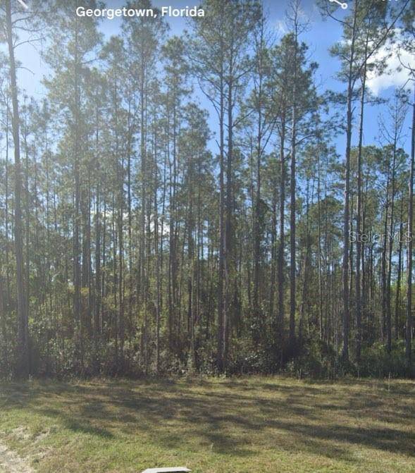 Georgetown, FL 32139,125 PINE CONE DR