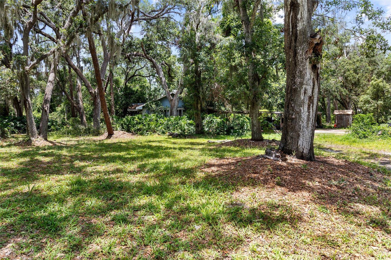 Valrico, FL 33596,3703 LITHIA PINECREST RD