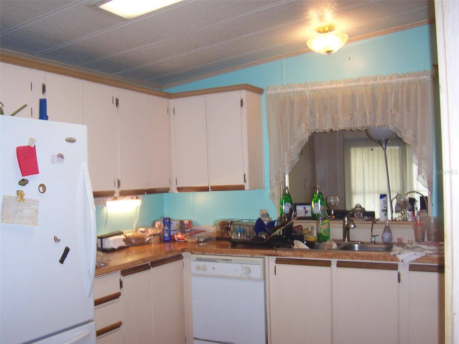 Wesley Chapel, FL 33543,33821 TERRACE BLVD