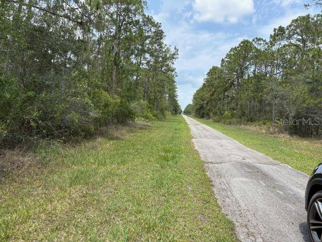 Indian Lake Estates, FL 33855,213 PLUMOSA DR