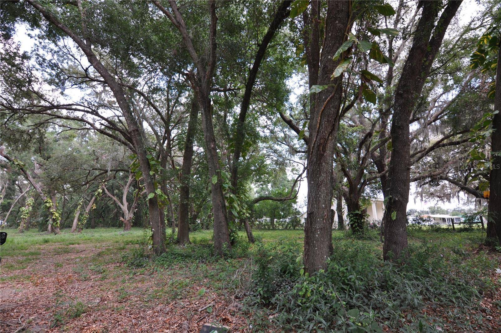 Zephyrhills, FL 33542,6734 20TH ST