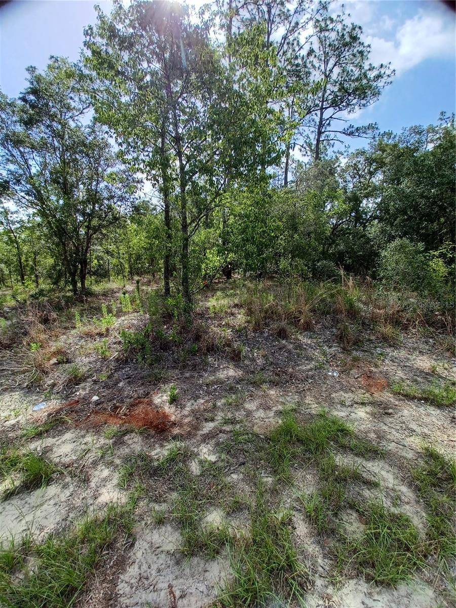 Dunnellon, FL 34431,SW TAMIAMI PL