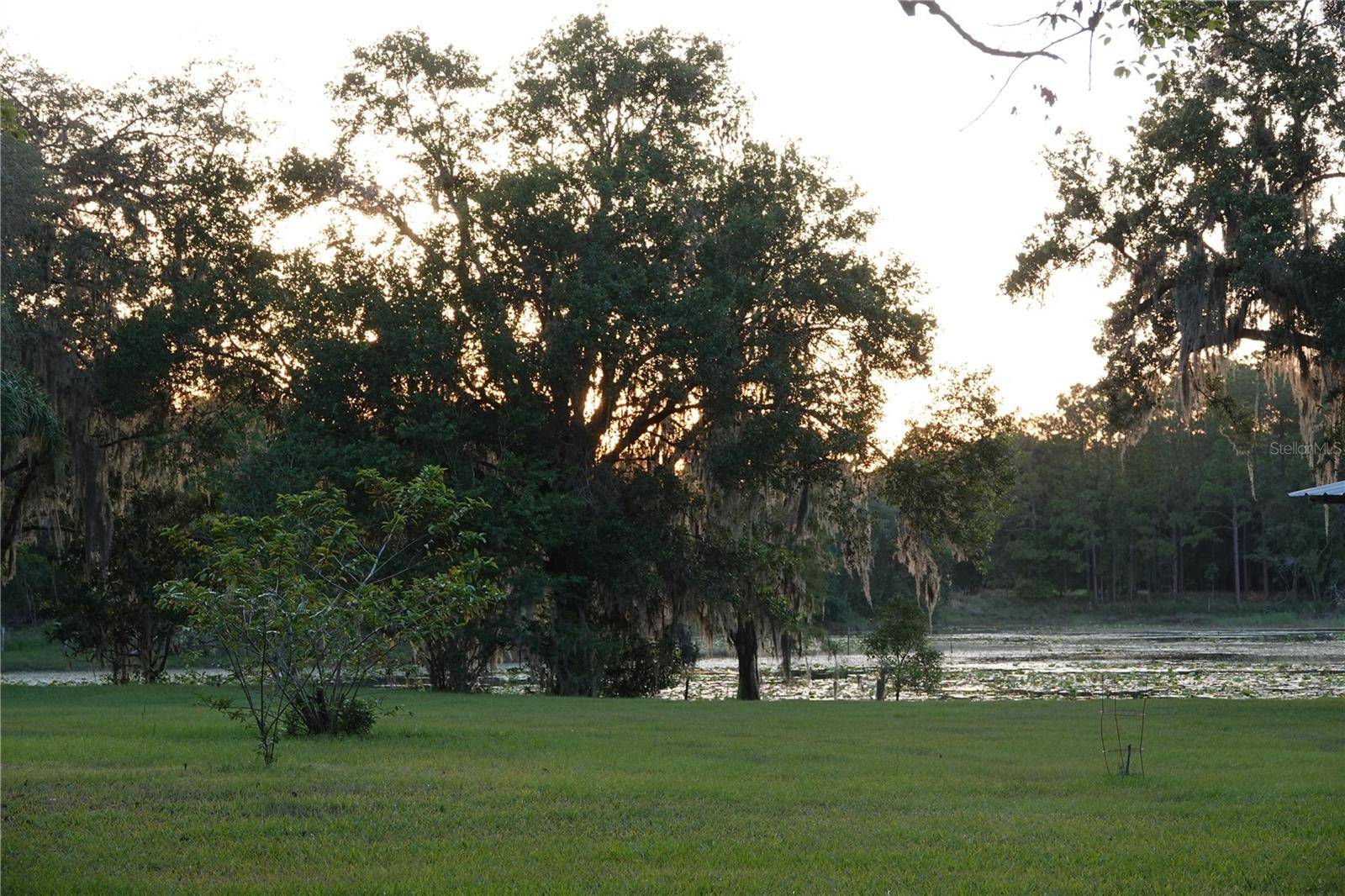 Land O Lakes, FL 34639,22839 BUNGALOW LN