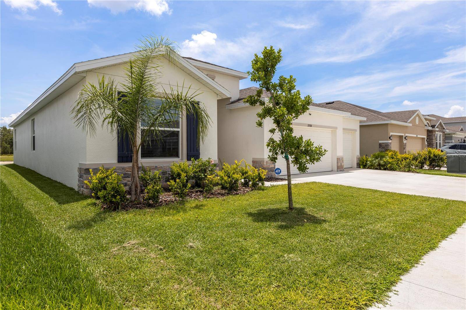 Wesley Chapel, FL 33545,33700 HAMILTON HILL LN
