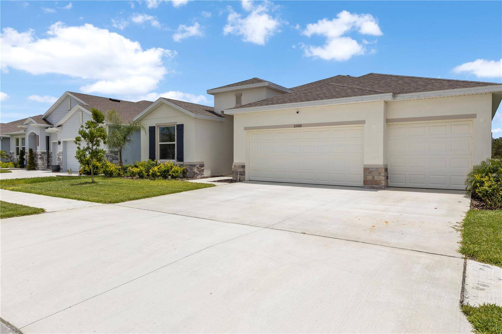 Wesley Chapel, FL 33545,33700 HAMILTON HILL LN